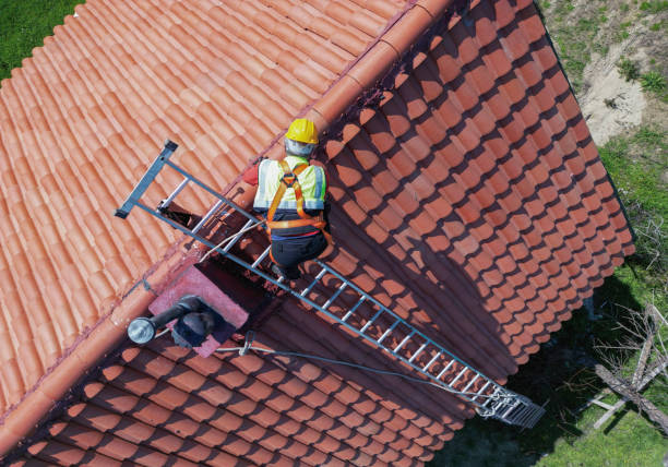 Best Roof Maintenance and Cleaning  in Bradford, RI